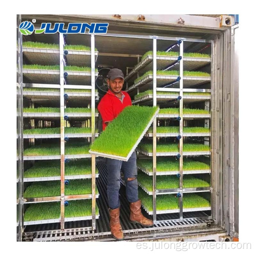 Hydroponic Farming Greenhouse Container de forraje hidropónico